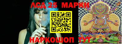 прущие грибы Севастополь