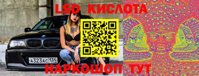 прущие грибы Севастополь