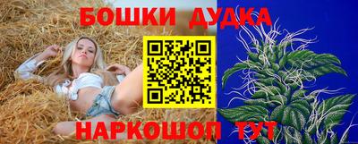 прущие грибы Севастополь