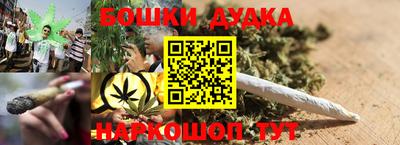 прущие грибы Севастополь
